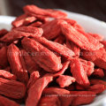 Baies de Goji séchées biologiques indigènes de Ningxia